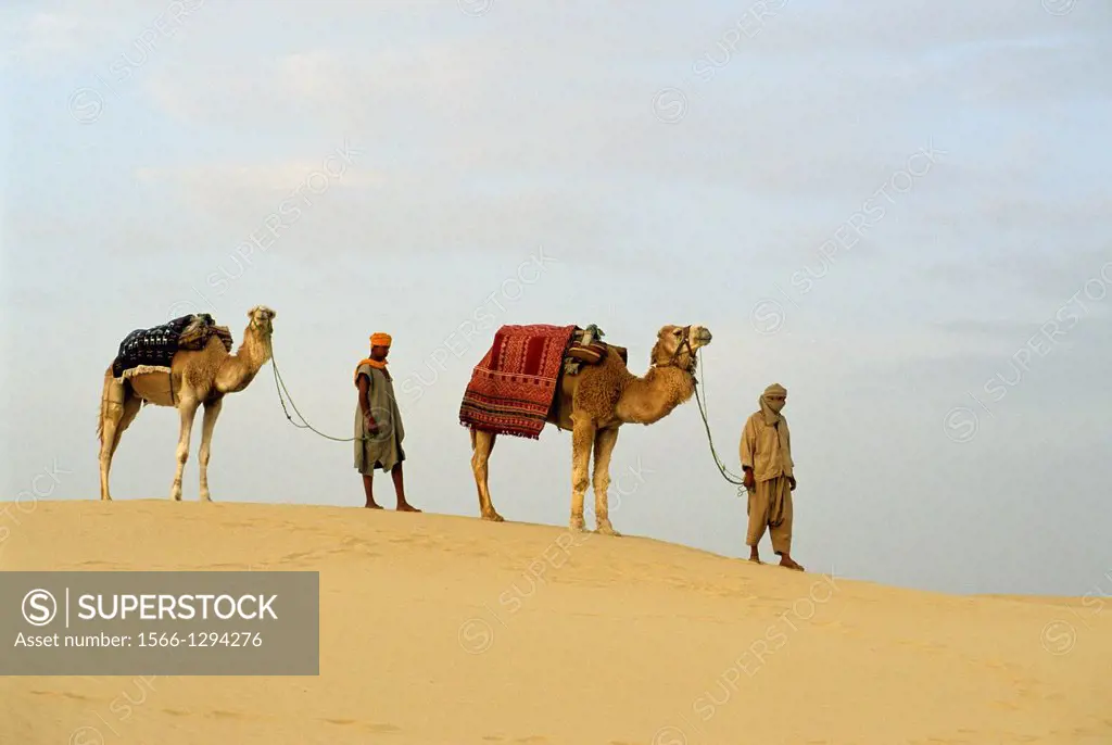 camel driver and dromadary in Lareguett dunes around Nefta, Tunisia, North Africa.