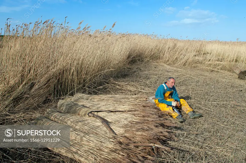 Taking a break from Cutting Reeds Cley Marsh Norfolk.