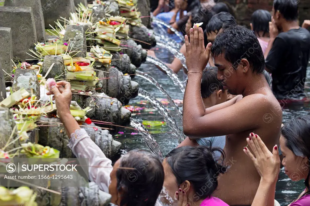 Praying and purifying the mind and body at Tirta Empul The Holy Spring, Tampaksiring, Bali