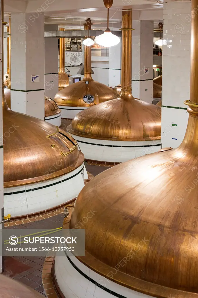Golden, Colorado - Brew kettles at the Coors Brewery.