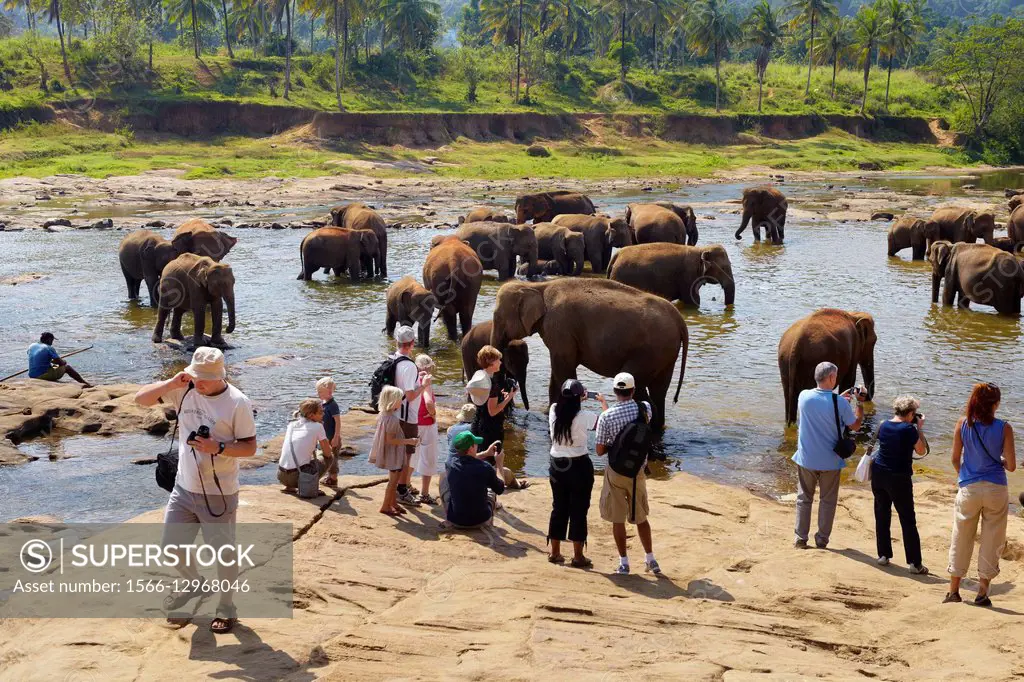 Sri Lanka - Tourists watching elephants bathing, Elephant Orphanage, Pinnawela,village in Kegalla District of Sri Lanka, Asia