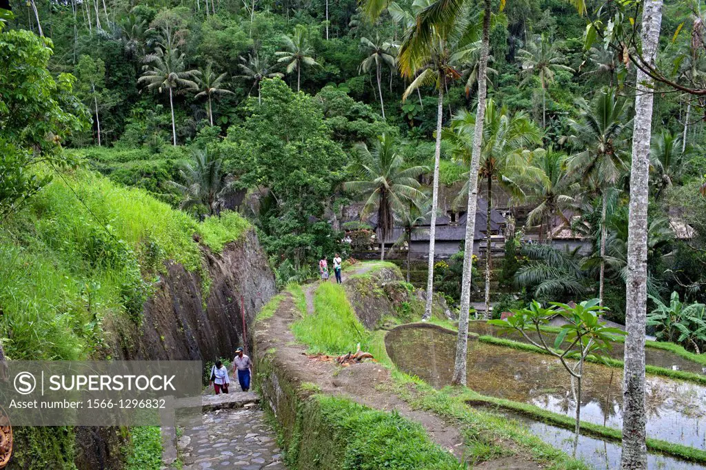 Gunung Kawi The Rocky Temple, Tampaksiring, Bali, Indonesia