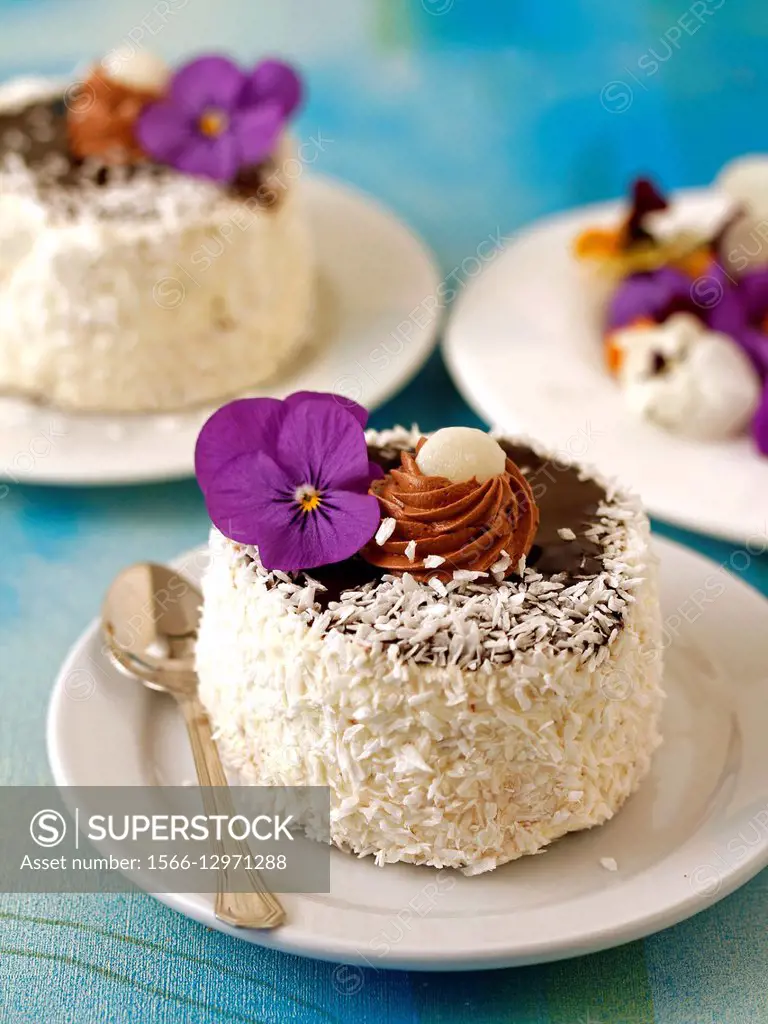 Chocolate sponge cake with coconut.