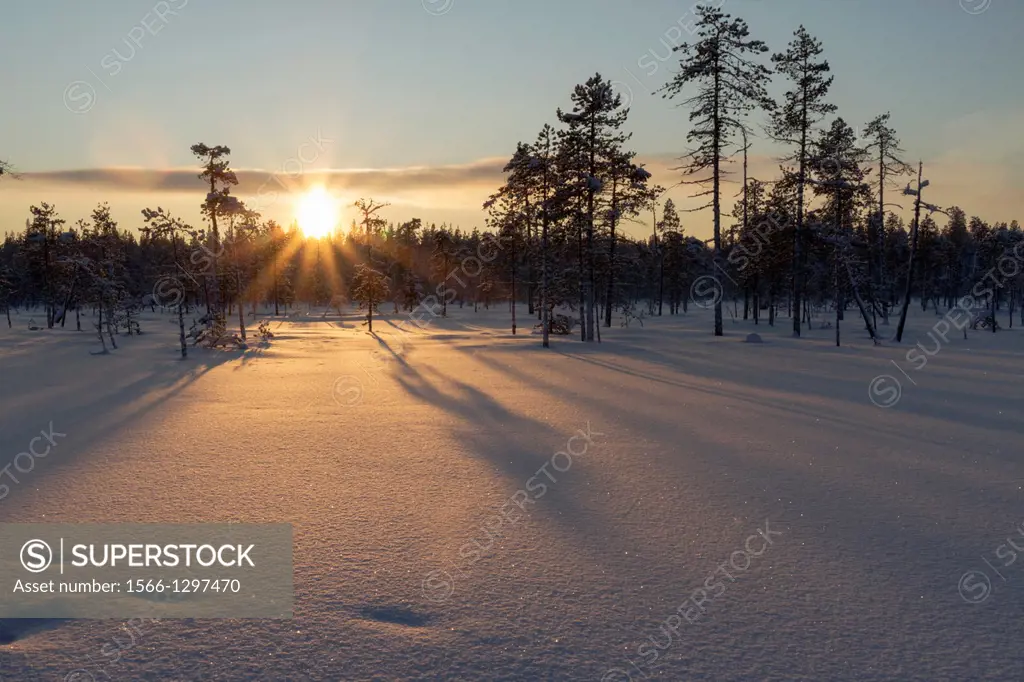 Sunny winter landscape in Gällivare, Swedish lapland.