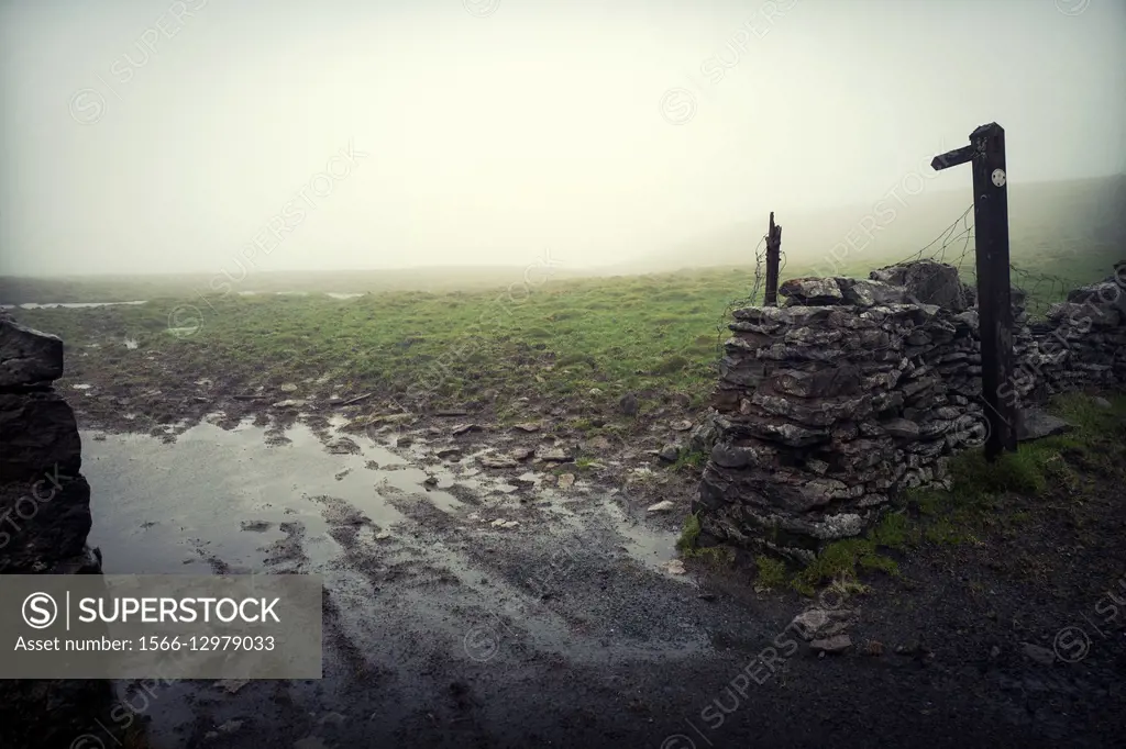 Public Foot Path sing post in a entrance between two dry stone walls, to a flooded field with tractor tracks. On the way from Hubberholme to Hawes, Wh...