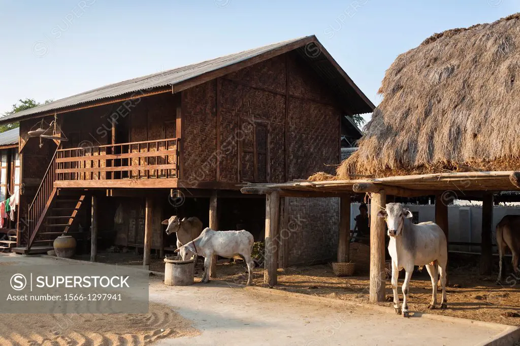 A farmhouse utilising bamboo to construct the walls, Yay Kyi village, Mandalay, Myanmar, (Burma).
