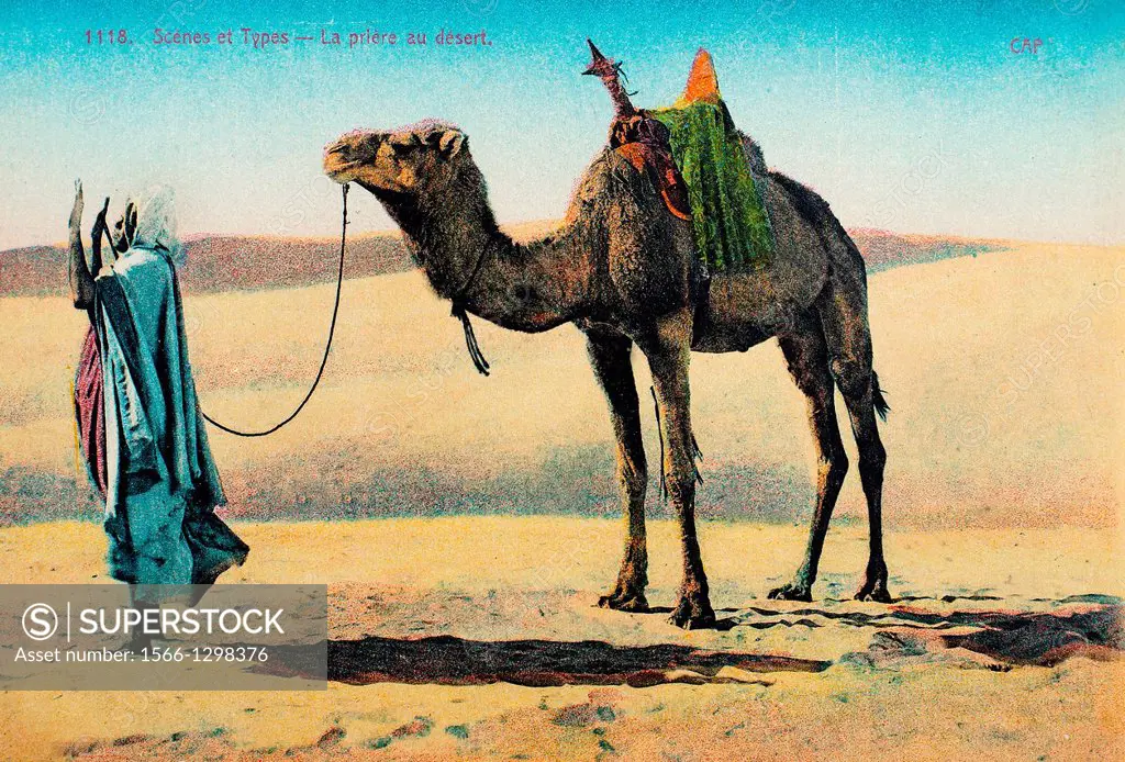 Praying in the Sahara desert (postcard c.1900), France