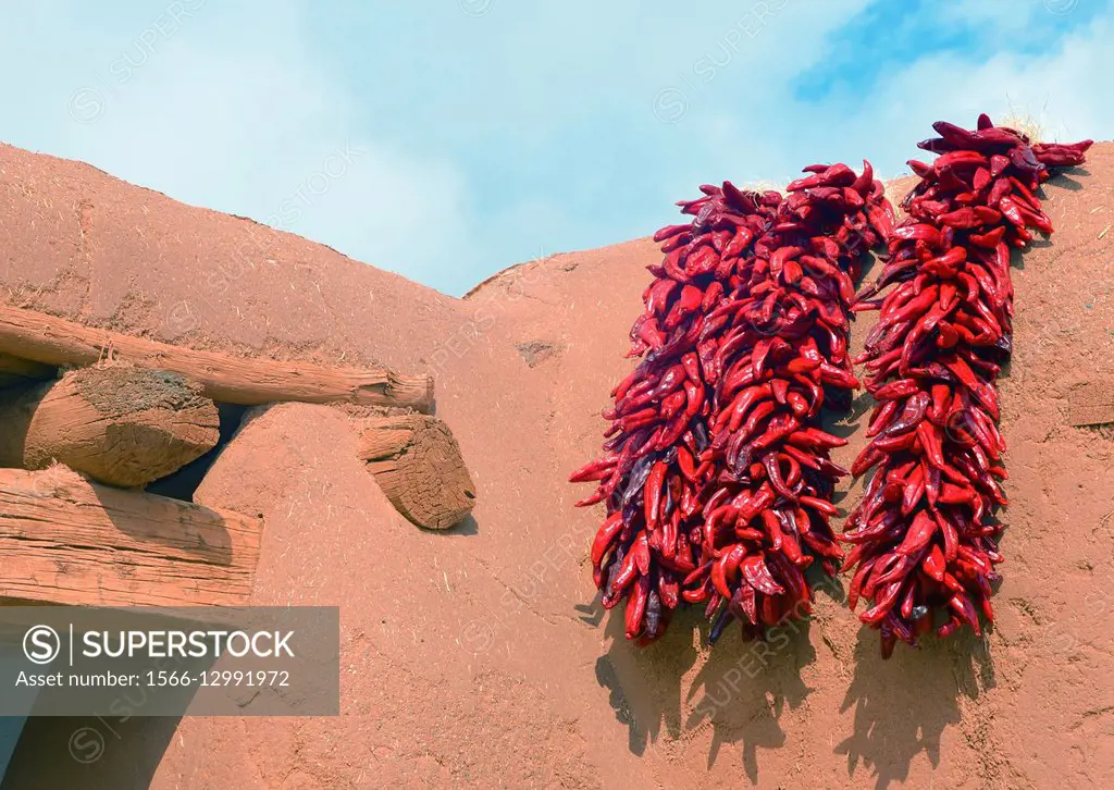 Red chile ristras on adobe wall, La Cienega, New Mexico, USA