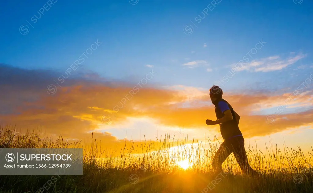 Mature man running in wildflower meadow at sunrise. Billingham, north east England, United Kingdom.