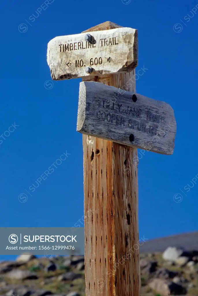 Timberline Trail sign, Mt Hood Wilderness, Mt Hood National Forest, Oregon.