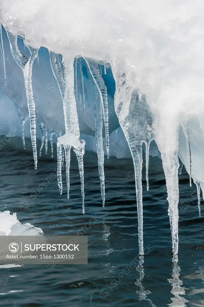 Icicles hanging from iceberg on Pleneau Island, western side of the Antarctic Peninsula, Southern Ocean.