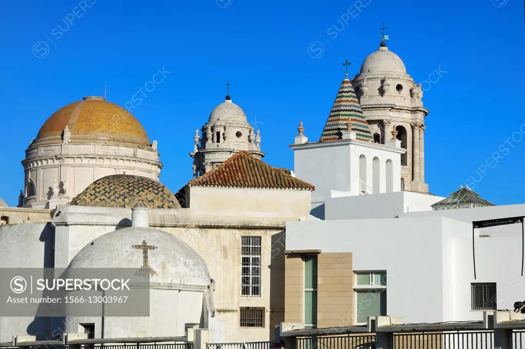Dome, Cathedral of Cadiz, Catedral de la Santa Cruz, Cadiz, Andalucia, Spain, Europe