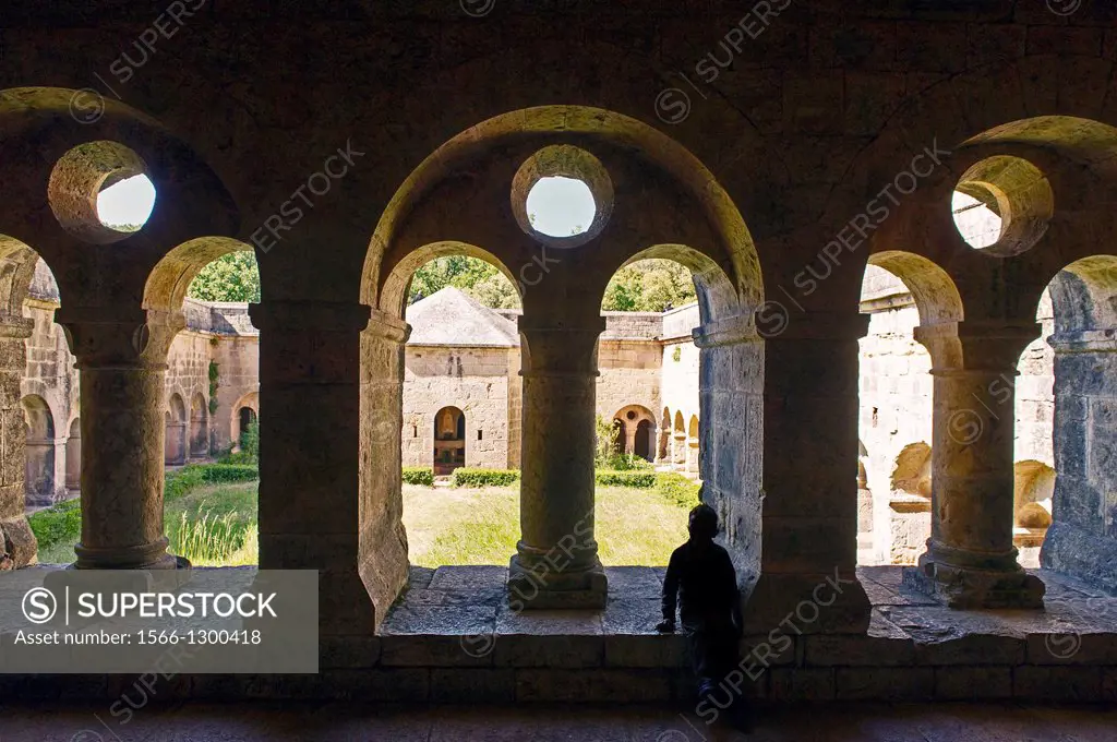 Europe, France, Var, Le Thoronet, Cistercian Abbey. The cloister.