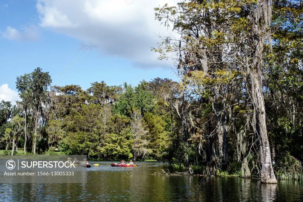 Florida, Silver Springs, State Park, Silver River, nature, natural scenery, water, Spanish moss, kayakers, paddling, kayaks,