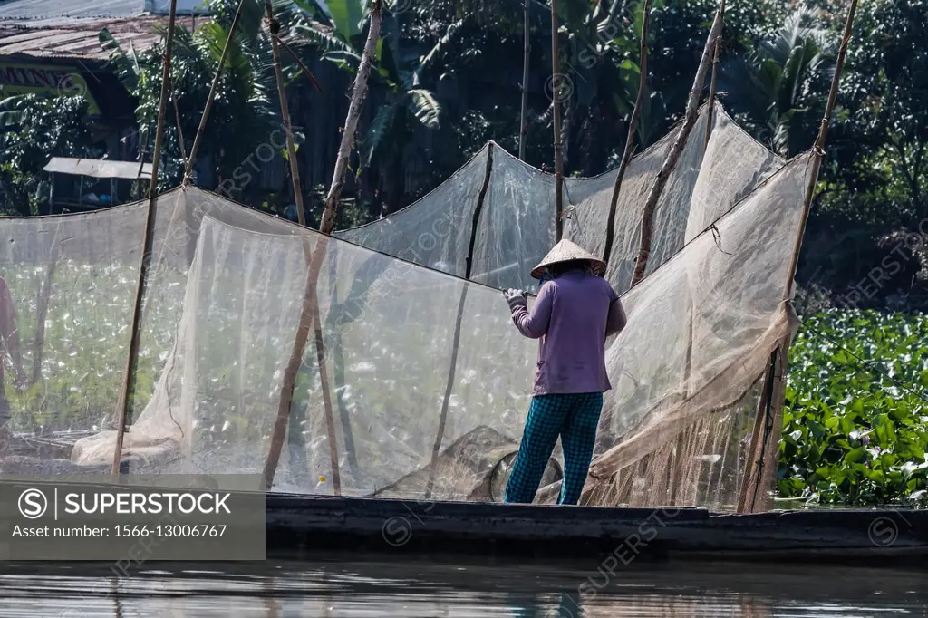 Woman checking fish nets on Binh Thanh Island at Sadec, Mekong River Delta,  Vietnam. - SuperStock