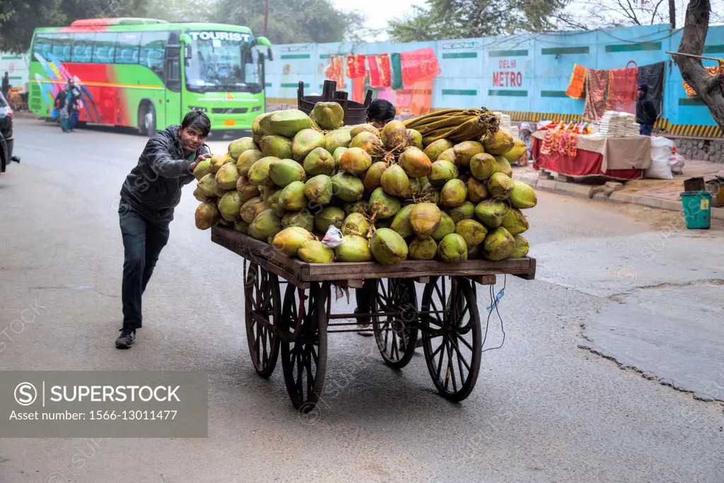 street vendor for coconuts in New Delhi, India, Asia.