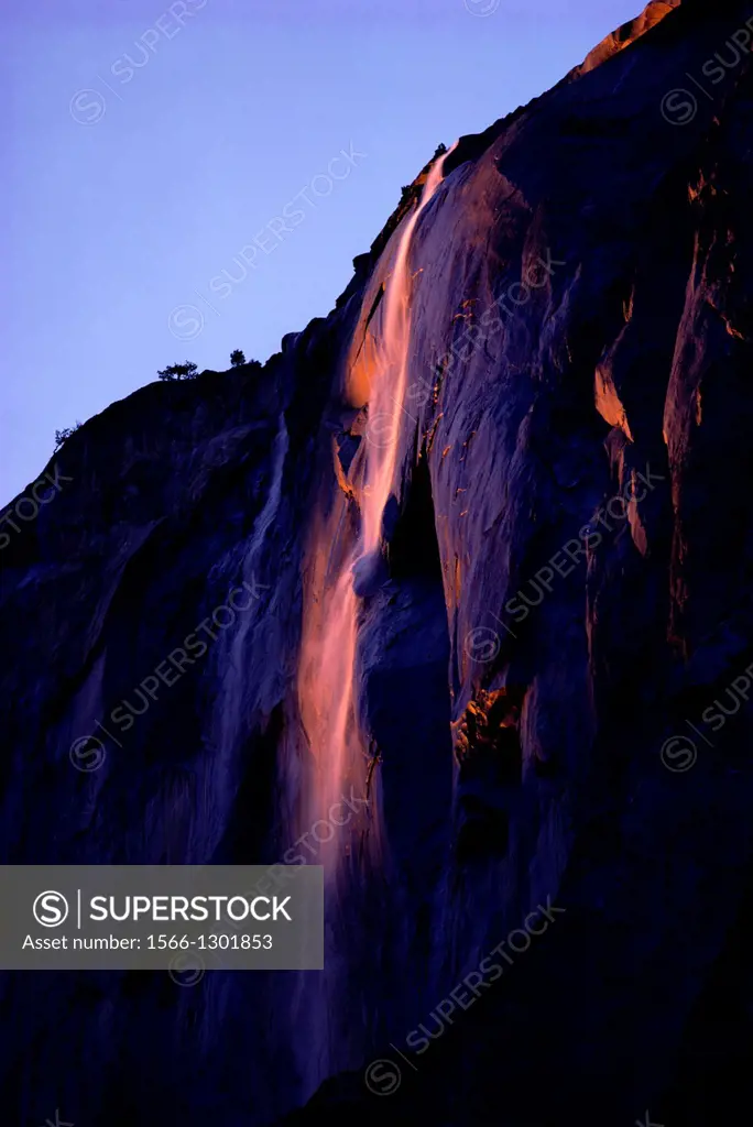 Evening light on Horsetail Falls on the east face of El Capitan, Yosemite Valley, Yosemite National Park, California USA.