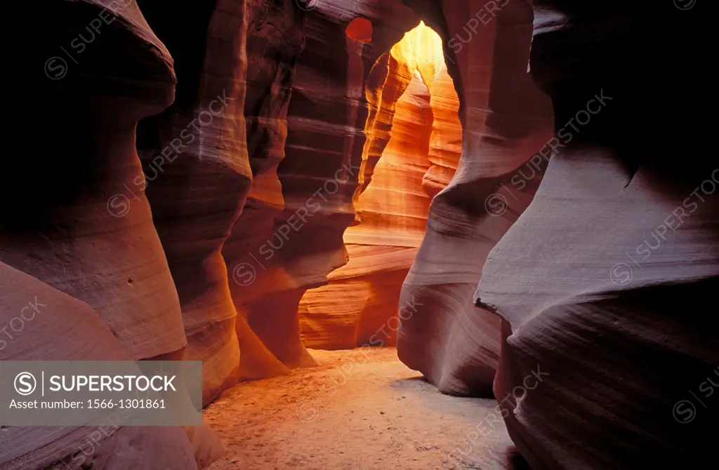 Delicate slickrock formations in upper Antelope Canyon, Navajo Indian Reservation, Arizona USA.