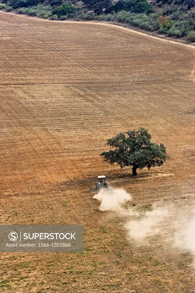 Aerial view of a tractor plowing the land in a sunny day, in the province of Jaen, Andalusia, Spain