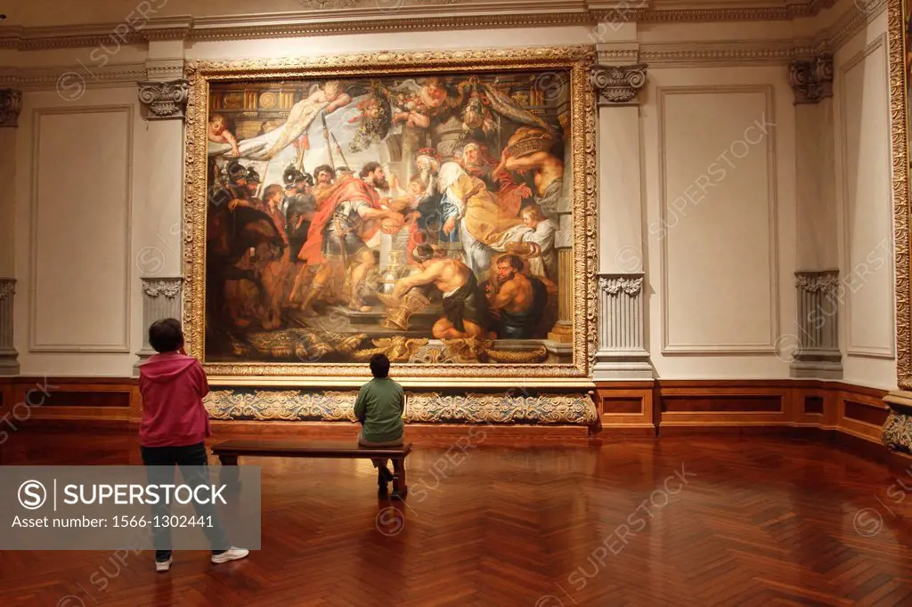 Florida USA Sarasota Ringling Museum of Art Peter Paul Rubens room.
