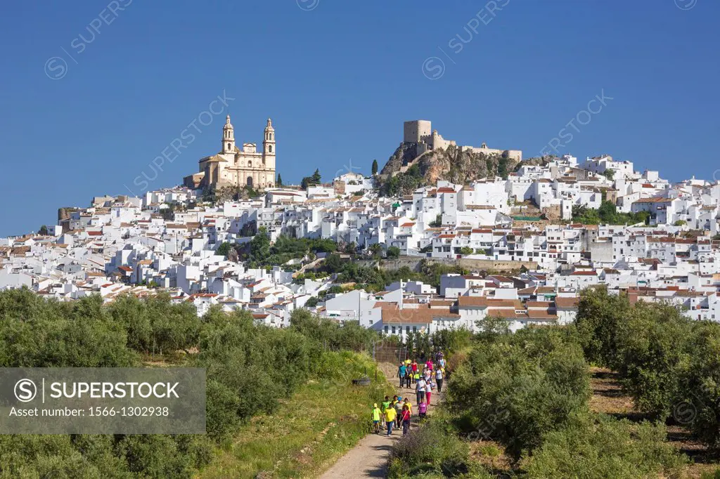 Spain , Andalucia Region, Cadiz Province , Olvera City.