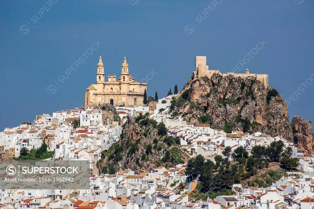 Spain , Andalucia Region, Cadiz Province , Olvera City.