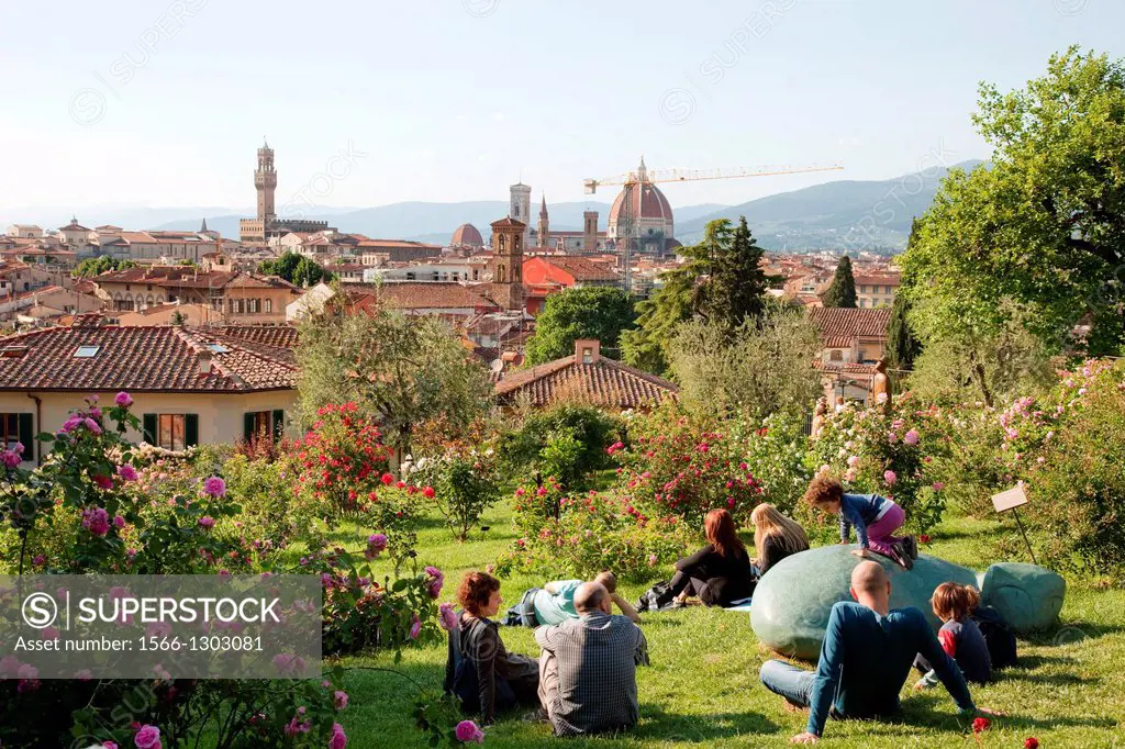 Italy, Florence, Rose Garden.