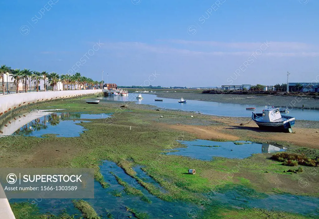 Sancti Petri harbour in the low tide. Chiclana de la Frontera, Cadiz province, Andalucia, Spain.