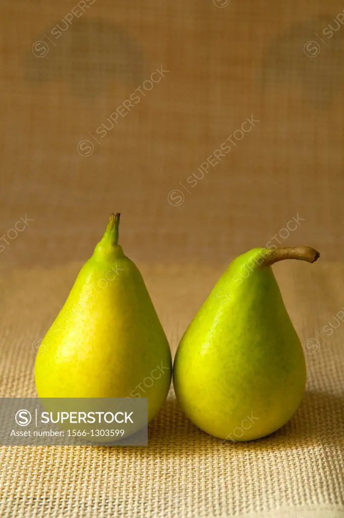 Two pears. Still life.