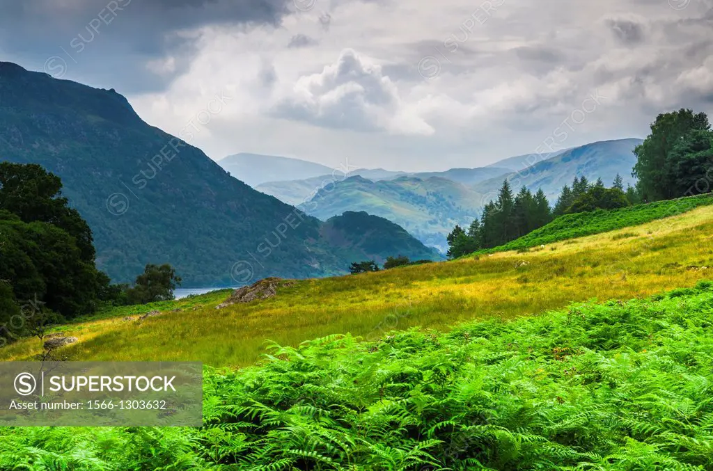 Place Fell and surrounding fells of Ullswater viewed from the slopes of the Aira Beck valley near Dockray in the Lake District, Cumbria, England.