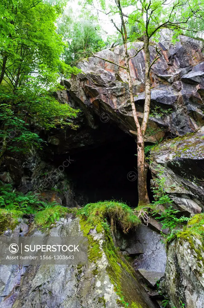 An abandoned quarry cave on Loughrigg Fell near Rydal in the Lake District, Cumbria, England.