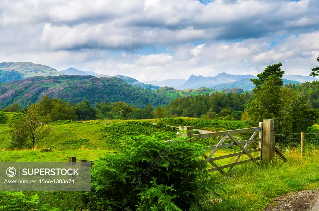 Summer view of Holme Fell and the Langdale Pikes near Coniston in the Lake District, Cumbria, England.