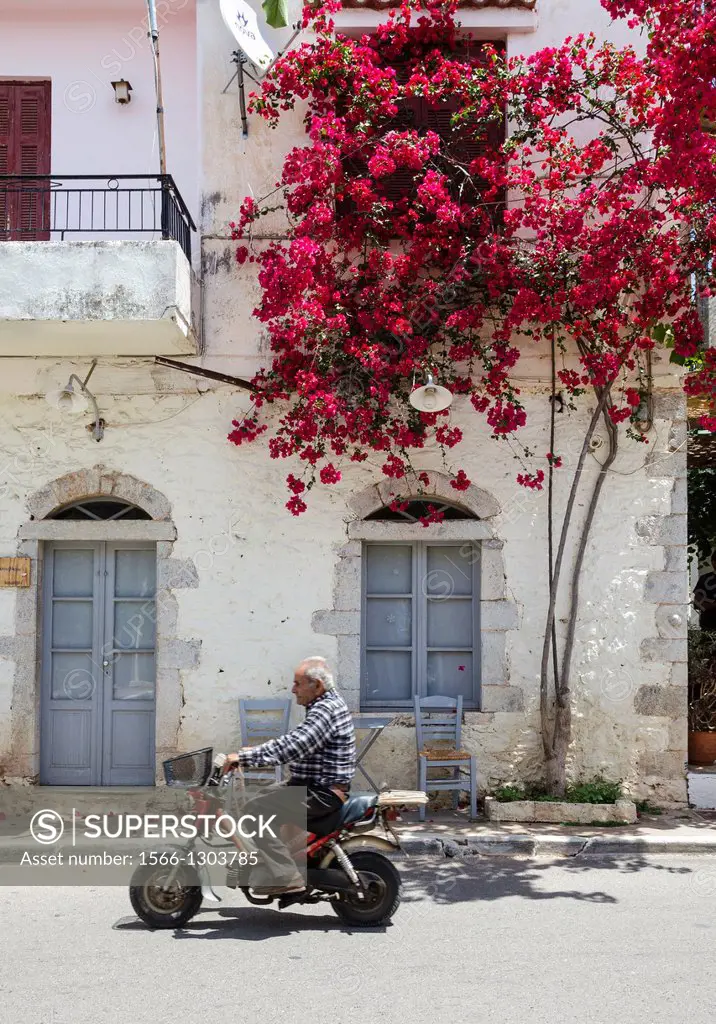 Old house with bougainvillea on the main street of Kardamyli village in the Outer Mani, Messinia, Peloponnese, Greece.