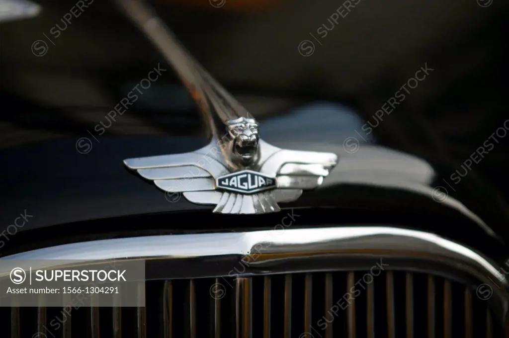 Classic car front, Jaguar