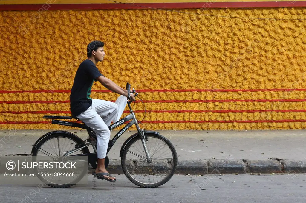 India, 19 February 2016. A man rides his bicycle past colorful wal in Kolkata.