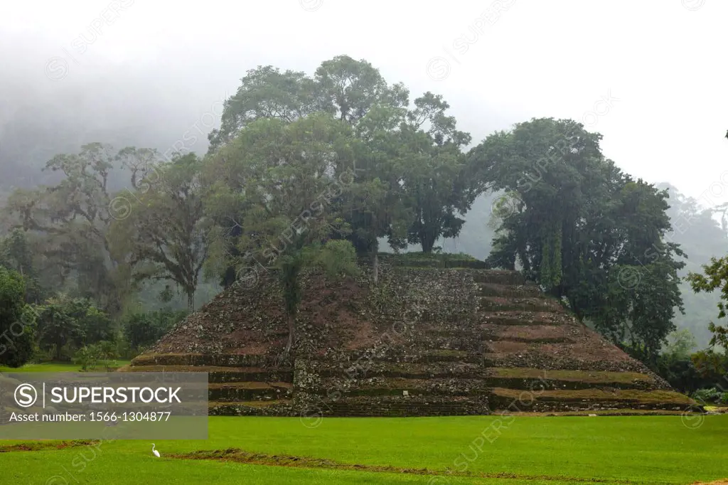 Totonaca ruins named: ""El Huajilote"", near Filobobos River, Veracruz, Mexico.