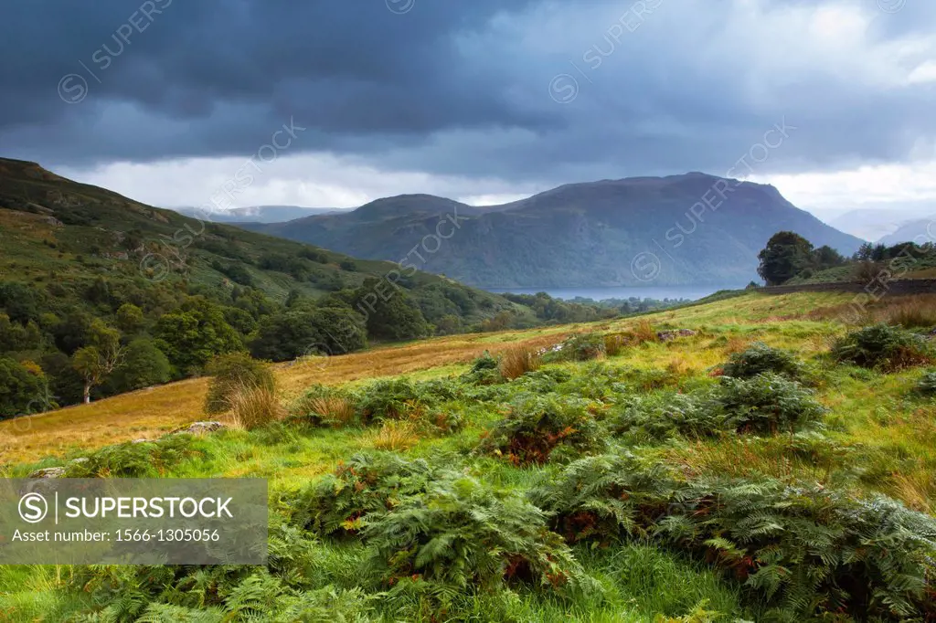 England, Cumbria, Lake District National Park. Open fells near Aira Beck above Aira Force, a powerful body of water near the shores of Ullswater.