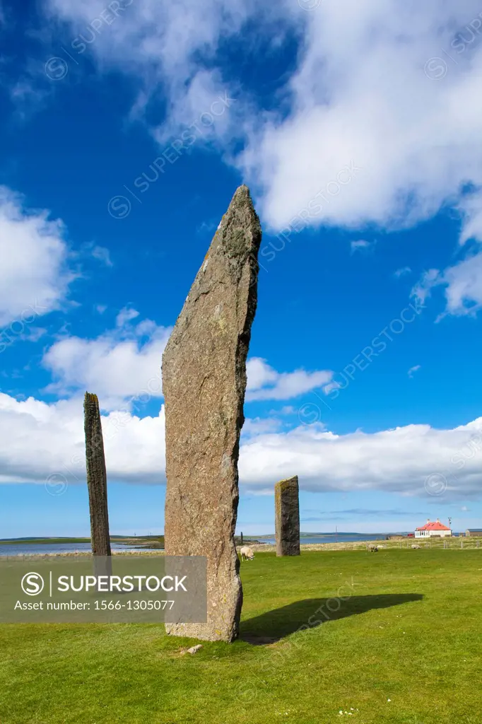 Scotland, Orkney Islands, Standing Stones of Stenness. The Standing Stones of Stenness, a Neolithic stone circle monument on the mainland of Orkney, S...