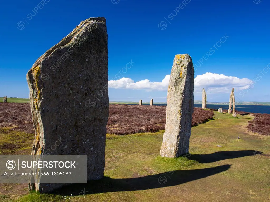 Scotland, Orkney Islands, The Ring of Brodgar. The Ring of Brodgar, a Neolithic stone circle and henge monument on the mainland of Orkney, Scotland, f...