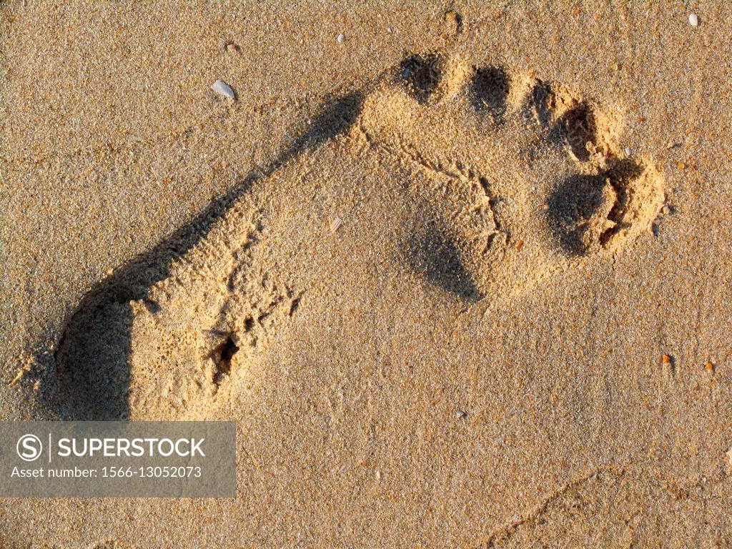 Footprint in beach sand Cherating Malaysia.