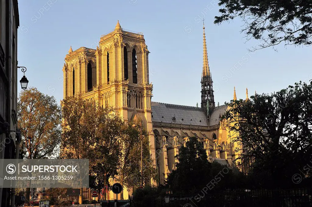 Notre Dame, at sunset. Paris, France.