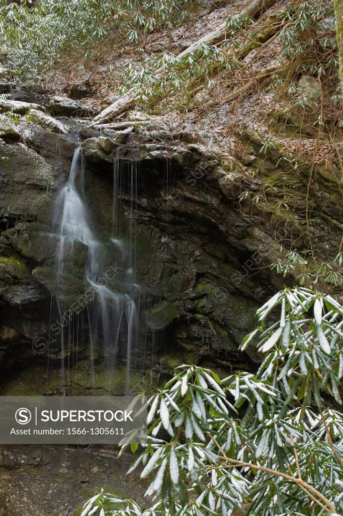 Waterfall, Whiteoak Sink, Great Smoky Mountains NP, TN