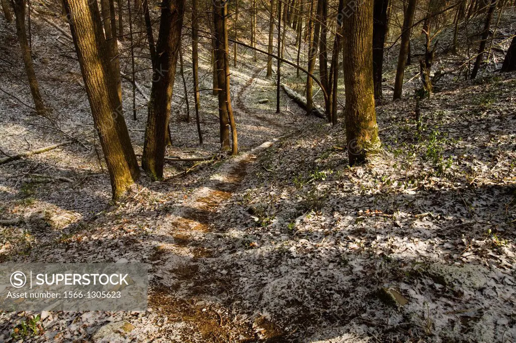 Whiteoak Sink Trail, Great Smoky Mountains NP, TN