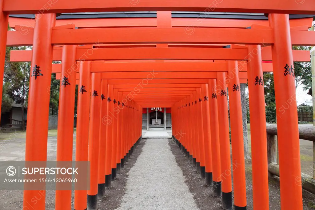 Japan, Kumamoto, Suizenji Garden, torii gates, shinto sanctuary,.