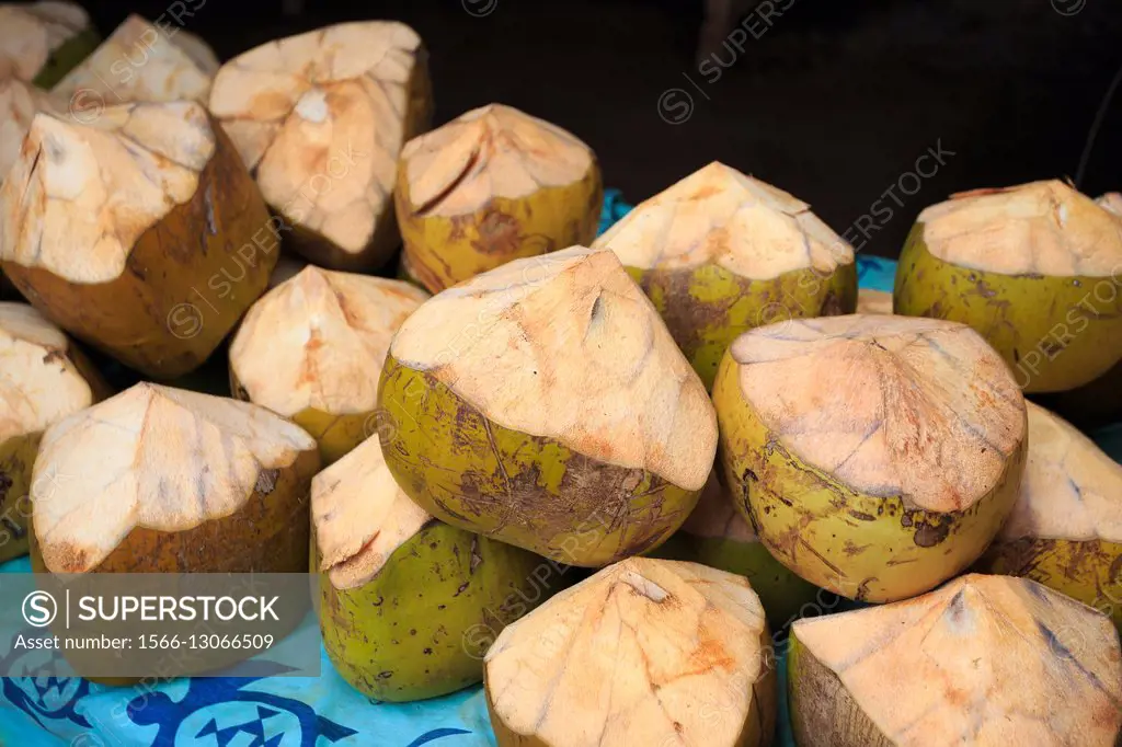 Coconuts on a fruit stand at a farmers market in Oahu Hawaii.