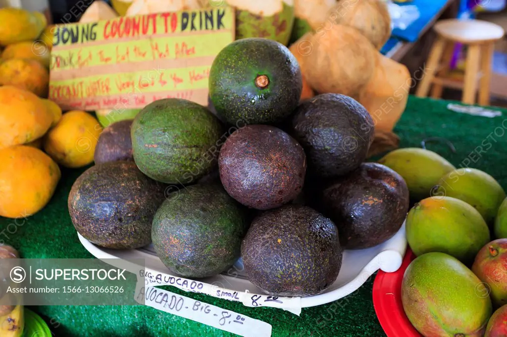 Avocados on a fruit stand at a farmers market in Oahu Hawaii.