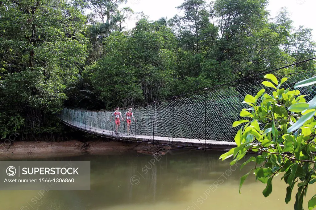 canopy walkway cross the river at similajau national park, bintulu, sarawak, malaysia.