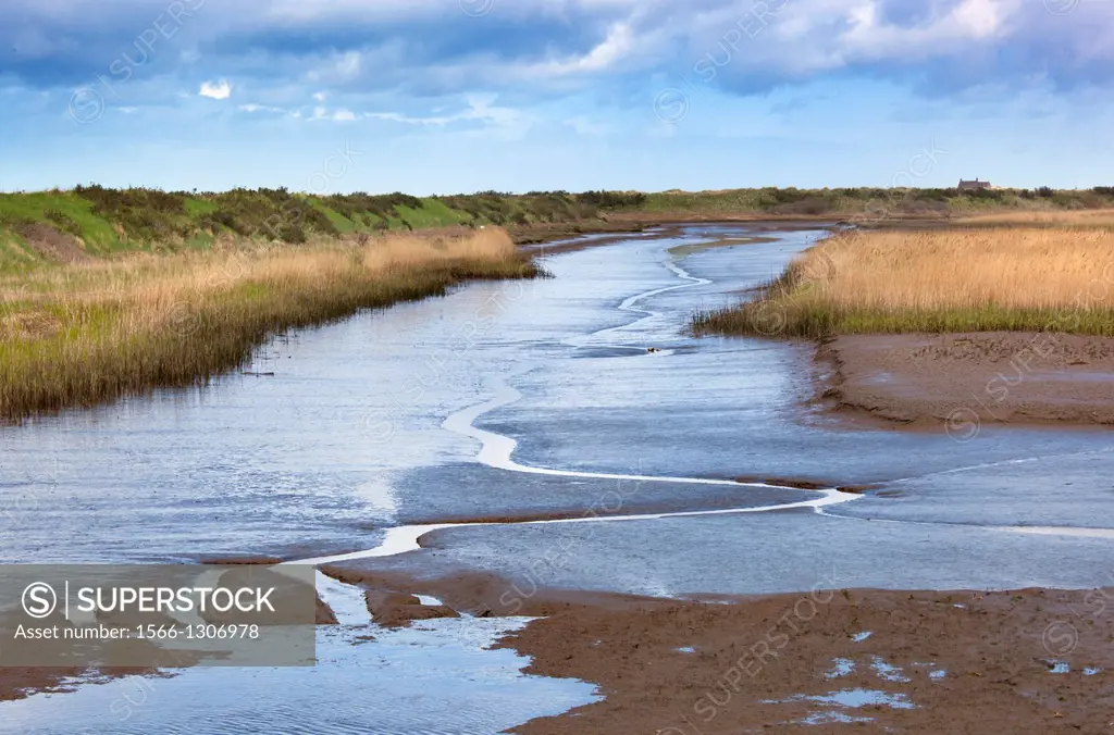 The Rspb Nature reserve at Titchwell Marsh Norfolk.