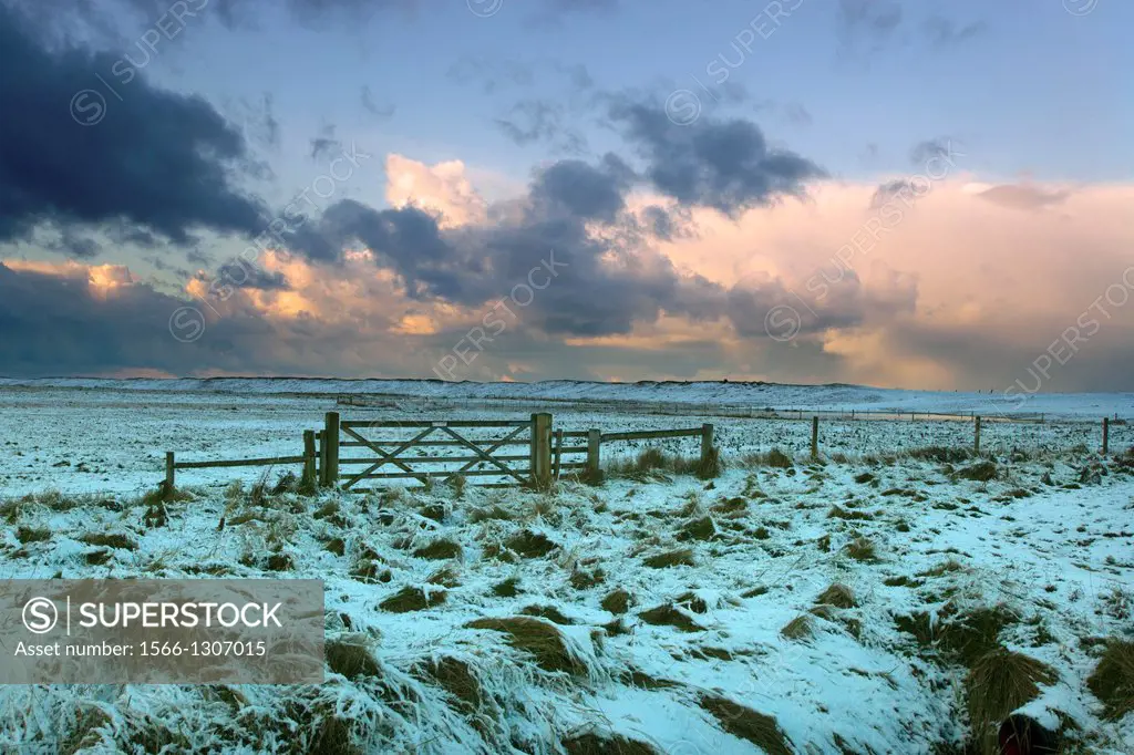Grazing marshes at Salthouse Norfolk in Winter snow.