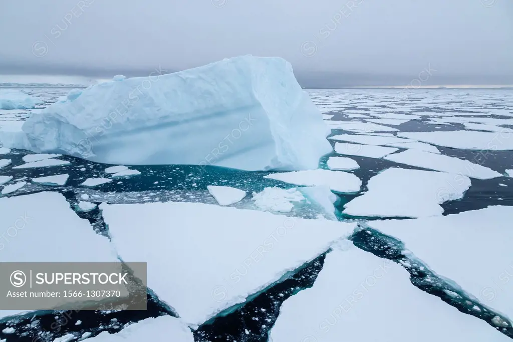 Icebergs in Crystal Sound, below the Antarctic Circle, Antarctica, Southern Ocean.